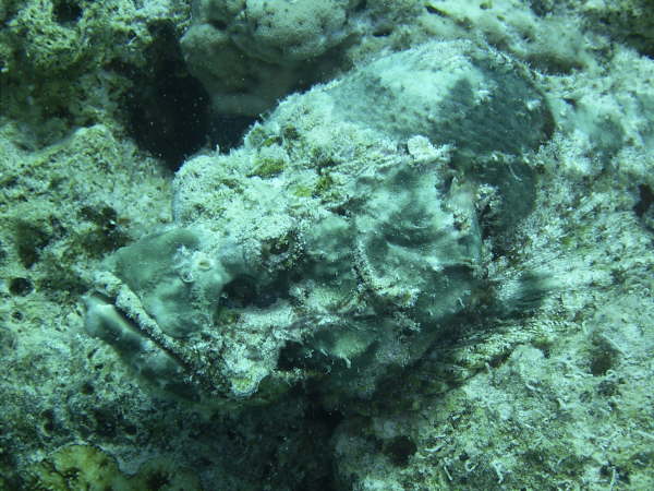 Andy_el_gouna_2005 058