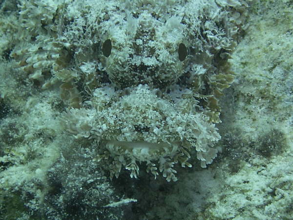 Andy_el_gouna_2005 097